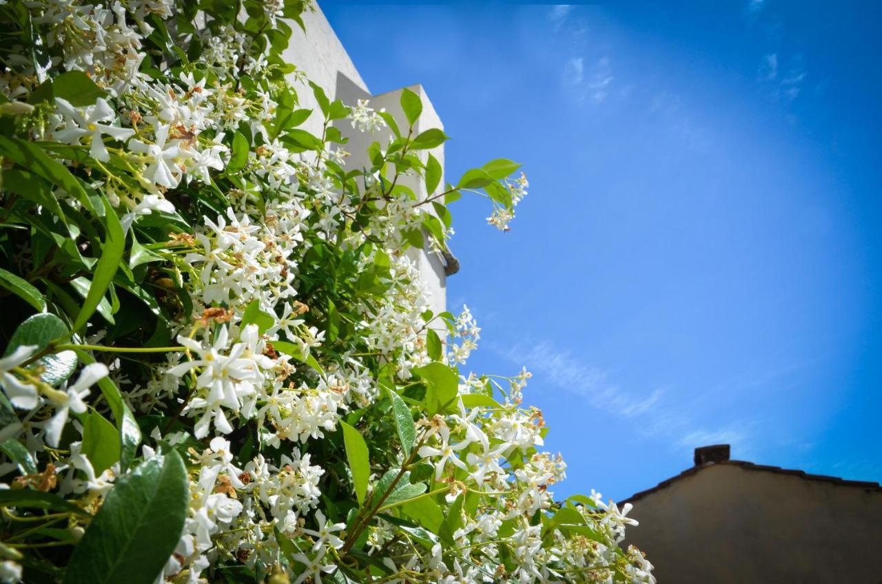 Luxury Apartment Pantheon Rome Bagian luar foto